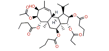 Gagunin J